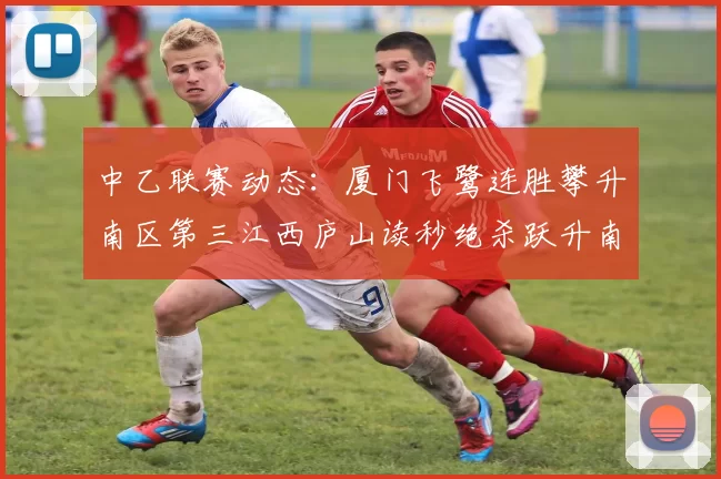 中乙联赛动态：厦门飞鹭连胜攀升南区第三江西庐山读秒绝杀跃升南区第四